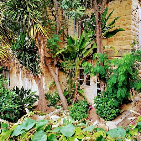 Sc Club Village 3* بيمبروك