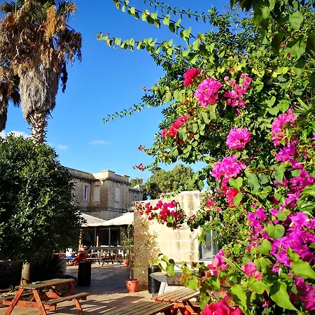 Sc Club Village 3* פמברוק